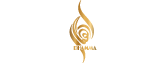Premium Perfume House - Shaikh Saeed Dubai